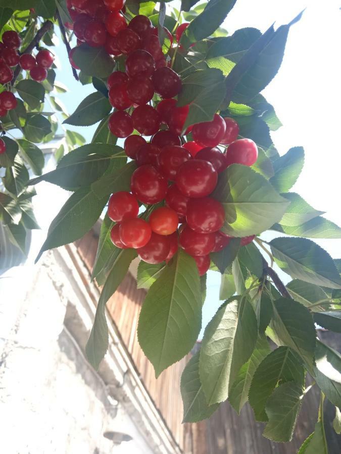 Guest House David'S B&B Gyumri ภายนอก รูปภาพ
